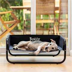 Bunty Elevated Sided Dog Bed 